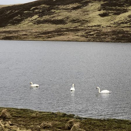 Scalloway Caravan Park ภายนอก รูปภาพ